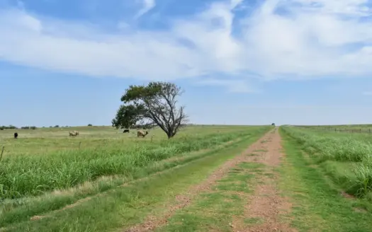 Cotton County Oklahoma Land for Sale Temple Ranch Properties