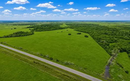 95.91 Acres for Sale in Anahuac, Texas | Unrestricted Land