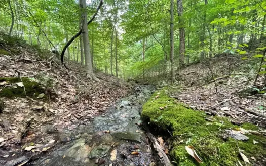 Land for Sale in Maury County, Tennessee