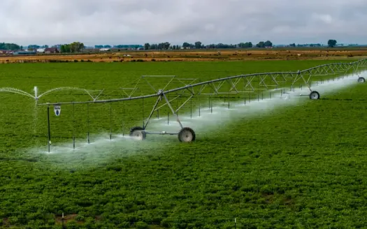 Colorado Alfalfa Farm and Waterfowl Duck Hunting Property