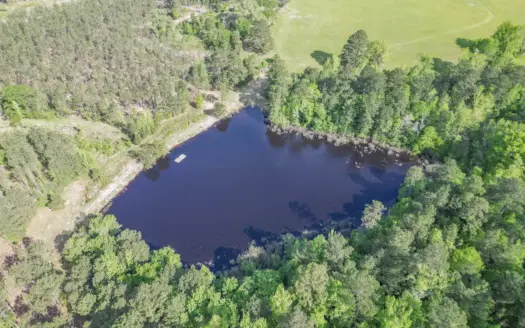 East Texas Land for Sale in Cass County | Twin Pine Ranch