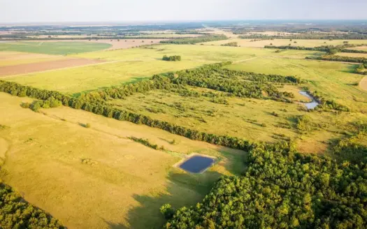Pasture and Ranch Land For Sale in NE TX