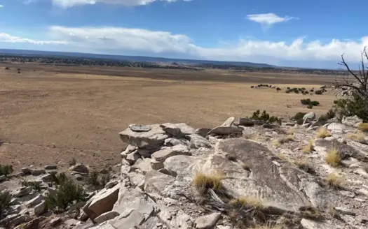 80+ acres for sale under $40,000!  Eastern AZ