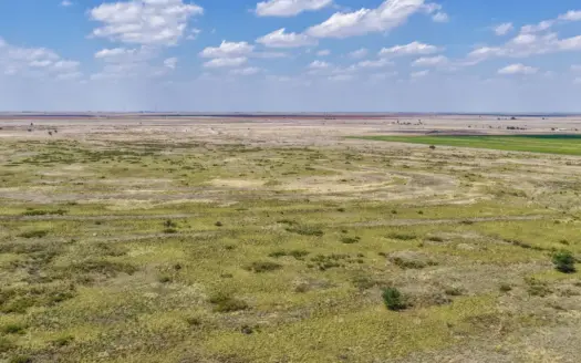 354.2+/- Acres CRP Hunting Ranch Land in Lamb County, Texas