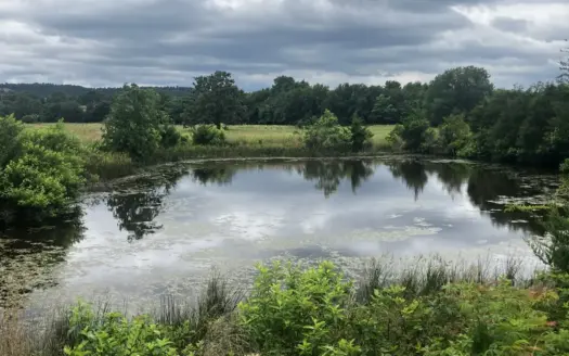 Hobby farm with outstanding build site, pasture, ponds, utilities