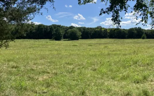 25 +/- Acre Hobby Farm With Amazing Building Site