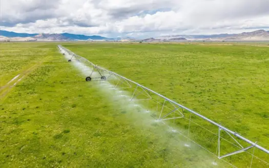 1,280 ± Acre Irrigated Ranch for Sale in CO San Luis Valley