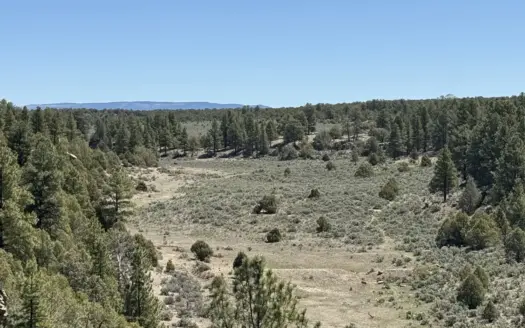 Incredible 2 Section Ranch w/ 2 Bunk houses, power, Wells, 8 Elk