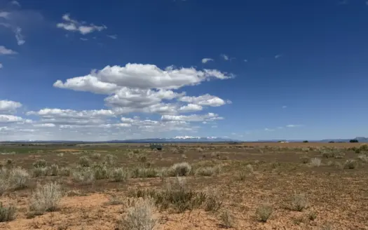 OWN YOUR OWN LAND! 35 ACRES in SW Colorado!