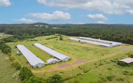 4 House Breeder Farm For Sale in Center, Tx