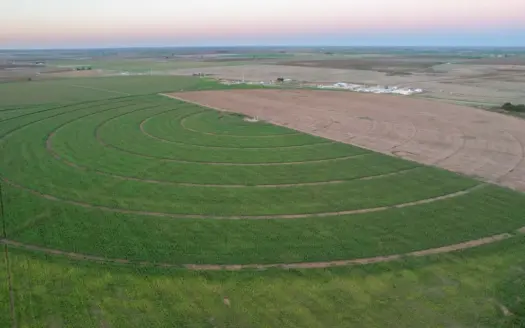 311.84+/- Acres in Lazbuddie, Texas