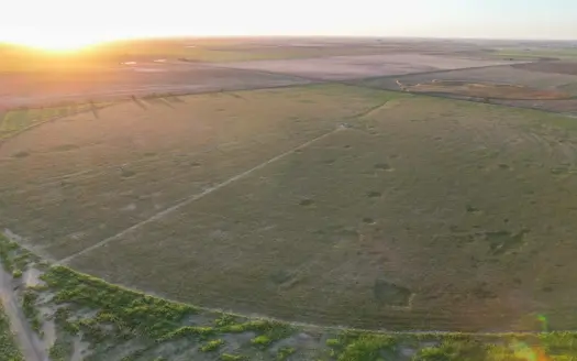 311.84+/- Acres in Lazbuddie, Texas