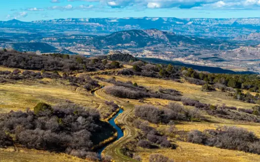 Colorado Mountain Hunting Ranch – Bull Basin Meadows