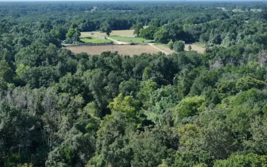 Unrestricted 57 Acres on CR 935 – Build, Hunt, or Ranch