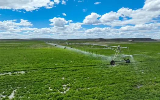 Eastern Oregon Carpenter Pivots