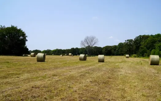 Tr 2 – Recreational Grassland 30 Ac+/- Auction, Paden, OK