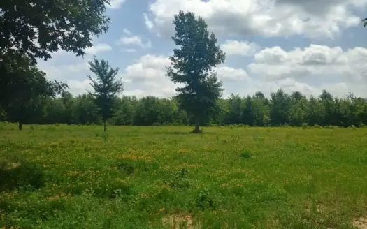 385.3 Acres for Sale in Simms. TX/Northeast TX Land