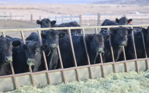 Eastern Oregon Briggs Ranch Located in Princeton