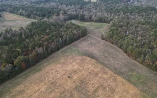 Prime 60 Acres in Fouke, AR –Build, Farm, or Hunt Near Texarkana