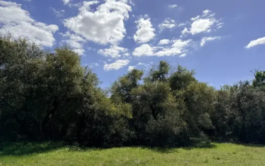 Land for Sale in Garwood, TX – Live Oaks, Creek & Wildlife