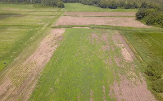 32.35 Acre Farm Located close to Wallace, NC