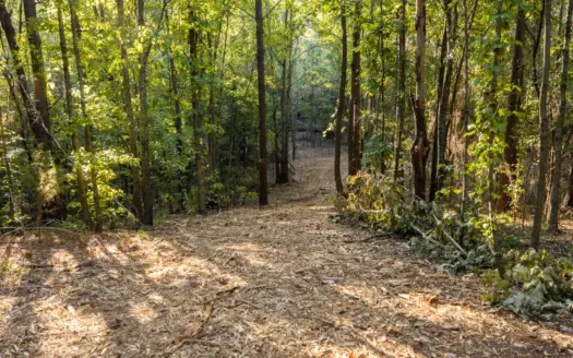 East Texas Land for Sale 141 Acres Tyler Texas Smith County