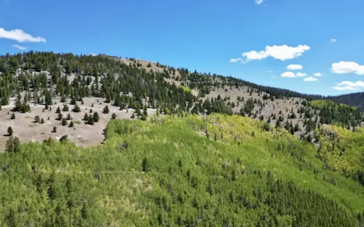 140 ± Acre Mountain Property for Sale in Whitepine, Colorado