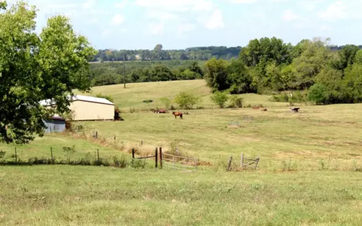 118-Acre Horse & Cattle Ranch for Sale in Henderson, Texas