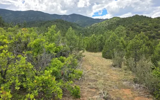 170.68 ± Acre Hunting Ranch by National Forest | Florence, CO