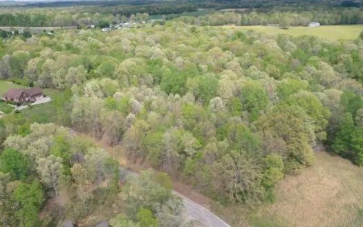 Land for Sale in Upscale Resort in Tennessee Loretto Tn$29,9