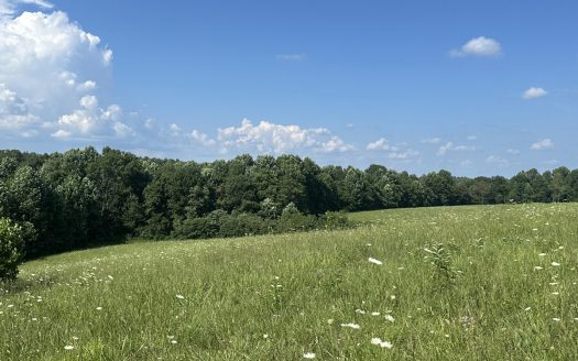 sustainable property listing image 1