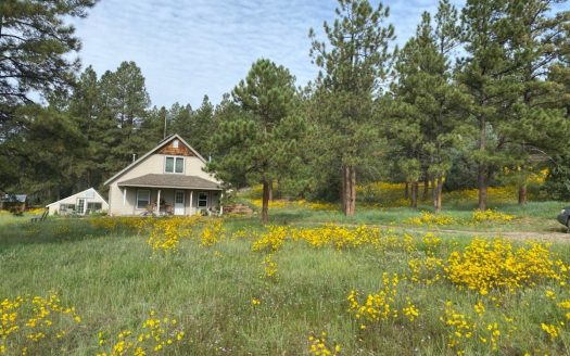 sustainable property listing image 1