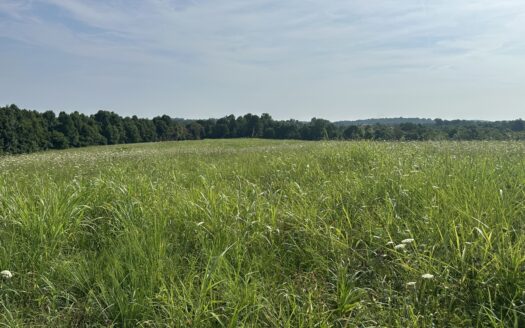 sustainable property listing image 1