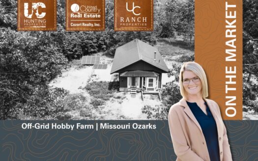 sustainable property listing image 1