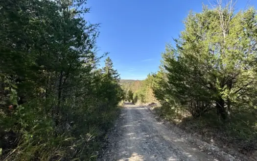 Unrestricted 20 acres in the Ozark Mountains near Mountain View