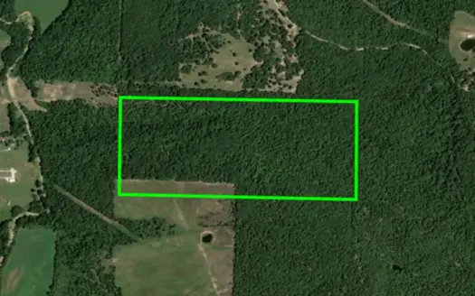Historic Ozark Homestead & Hunting Land Near Alpena AR