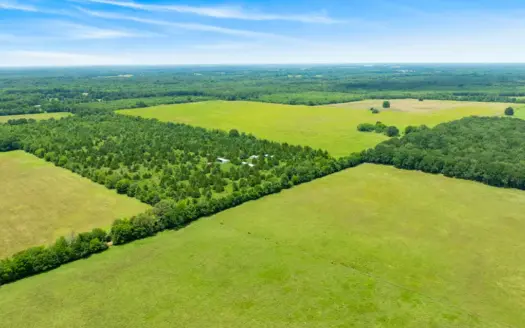 243± Acres of Prime Texas Farmland | Red River County, Texas