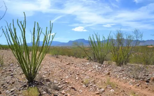 Huachuca City AZ 8.2 Acre Land Auction | $10K Starting Bid