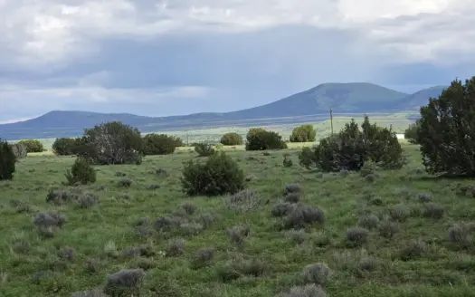 White Mountains 37.60 acres with Views, trees and ready to build.