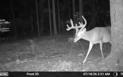 East Texas Hunting Property For Sale