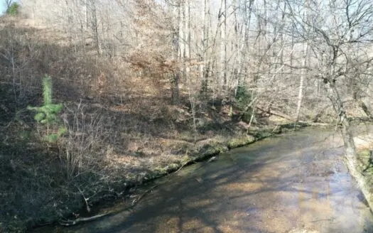 Unrestricted Creekfront Land for Sale in Middle Tennessee