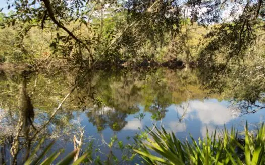 Suwannee River Front Property for Sale in Live Oak, Florida