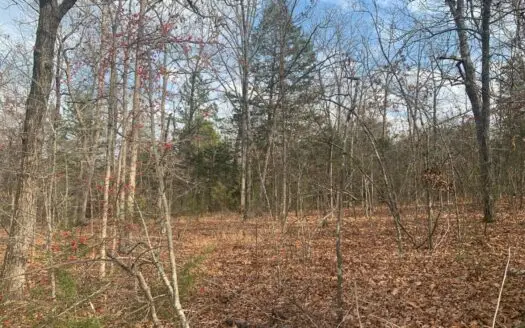 Hunting, Recreation, Homestead