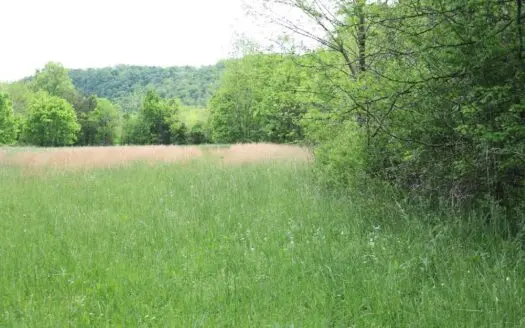 White River Building Lot for Sale