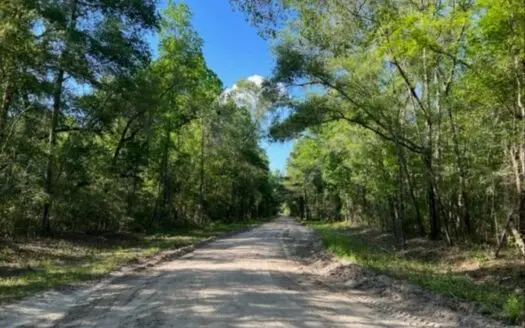 Suwannee River Front Property for Sale in Jasper, Florida