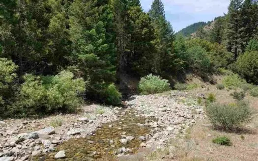 Cherry Hill Placer Mine for Sale