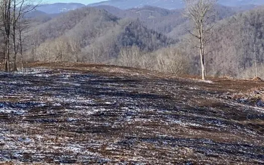118 Acres Of Mountain Property for Sale in Gate City, Va