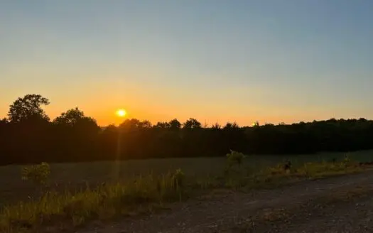 Lot with Bull Shoals Lakeview in Gated Community W/ Airstrip