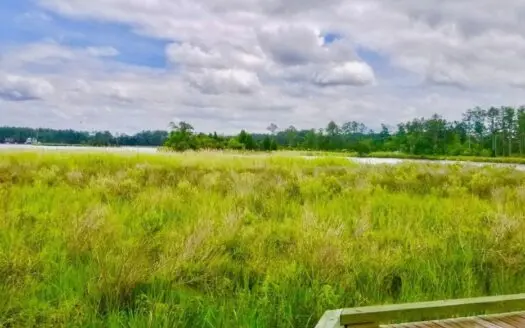 Waterfront Lot for Sale in Belhaven, Beaufort County Nc