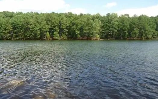 2.14 Acres on Lake Monticello, Sc in Restricted Community